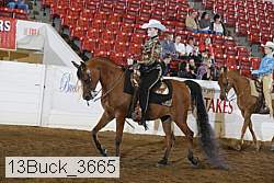 13buck_3665 proof