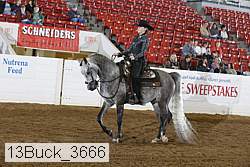13buck_3666 proof