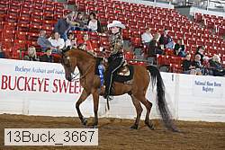 13buck_3667 proof