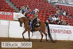 13buck_3668 proof