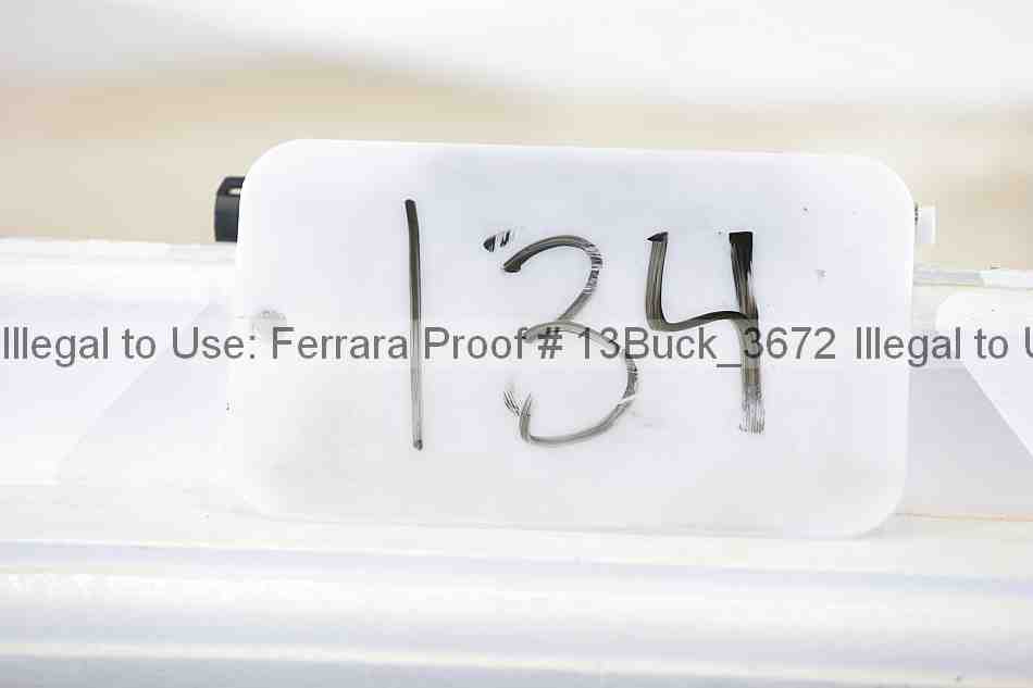 Proof 13buck_3672