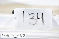 13buck_3672 proof