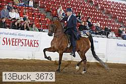 13buck_3673 proof