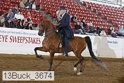 13buck_3674 proof