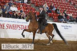 13buck_3675 proof