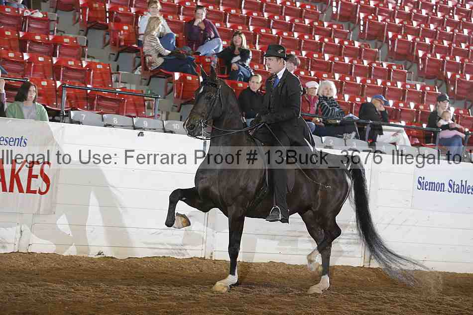 Proof 13buck_3676