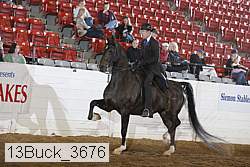 13buck_3676 proof
