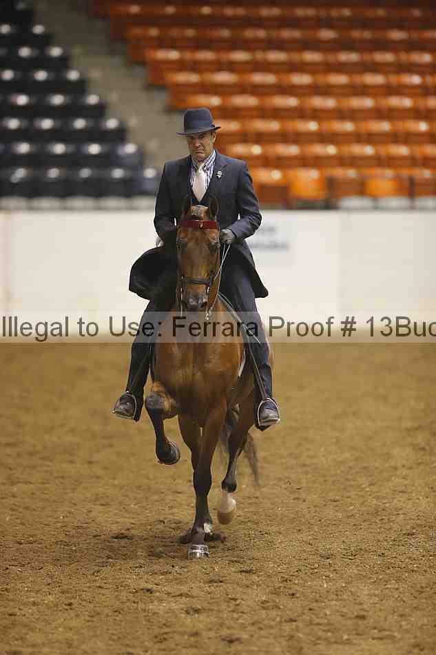 Proof 13buck_3677