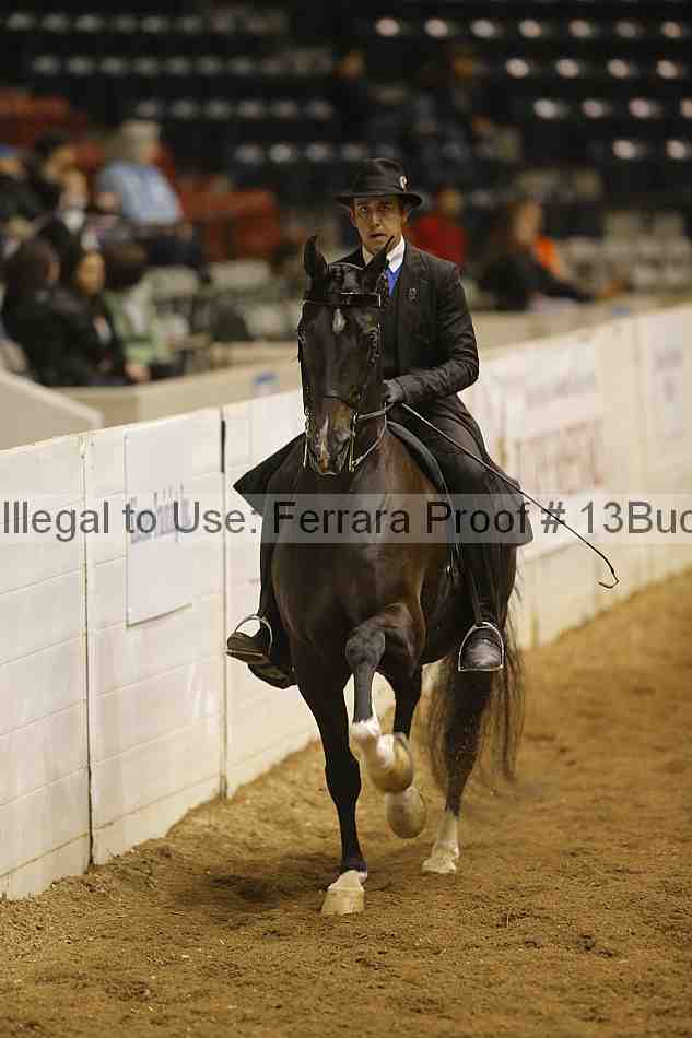 Proof 13buck_3679