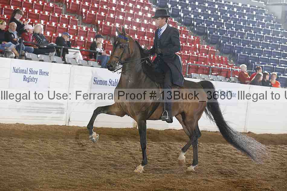 Proof 13buck_3680