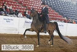 13buck_3680 proof
