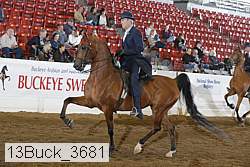 13buck_3681 proof