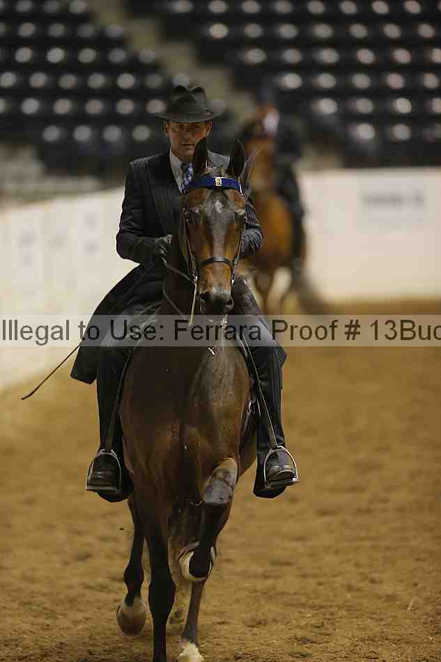 Proof 13buck_3683