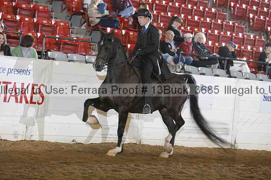 Proof 13buck_3685