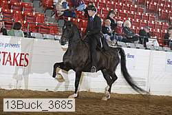 13buck_3685 proof