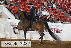 13buck_3687 proof