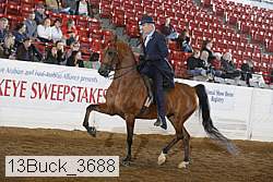 13buck_3688 proof