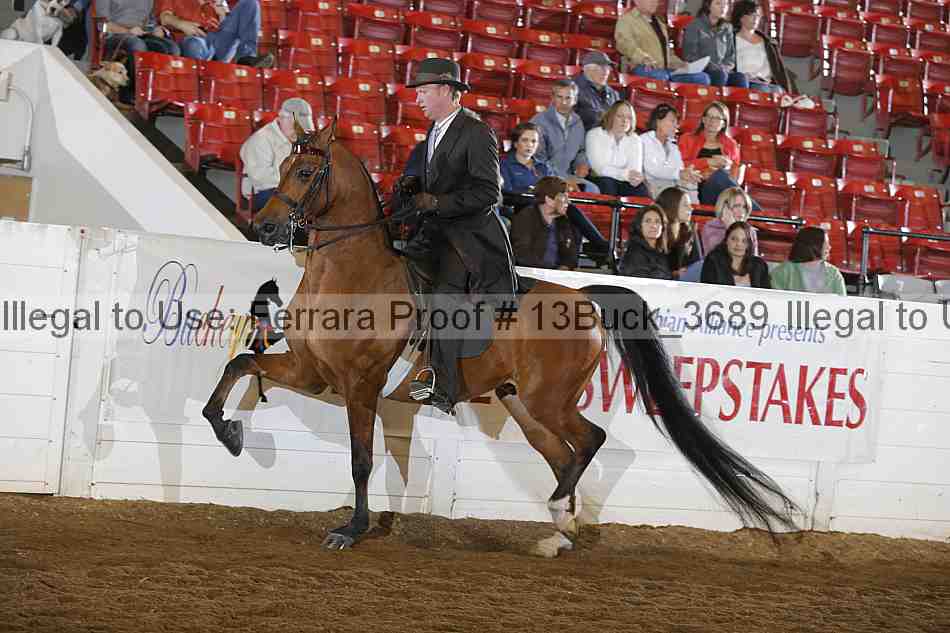 Proof 13buck_3689
