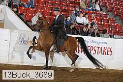 13buck_3689 proof