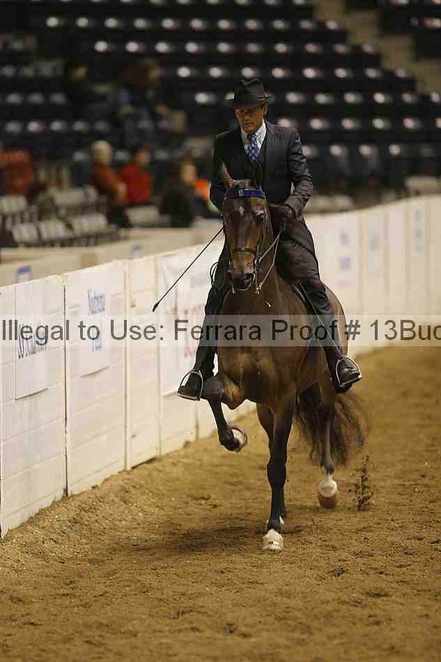 Proof 13buck_3690