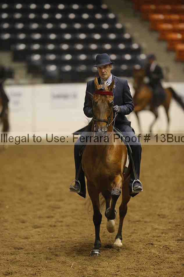 Proof 13buck_3691