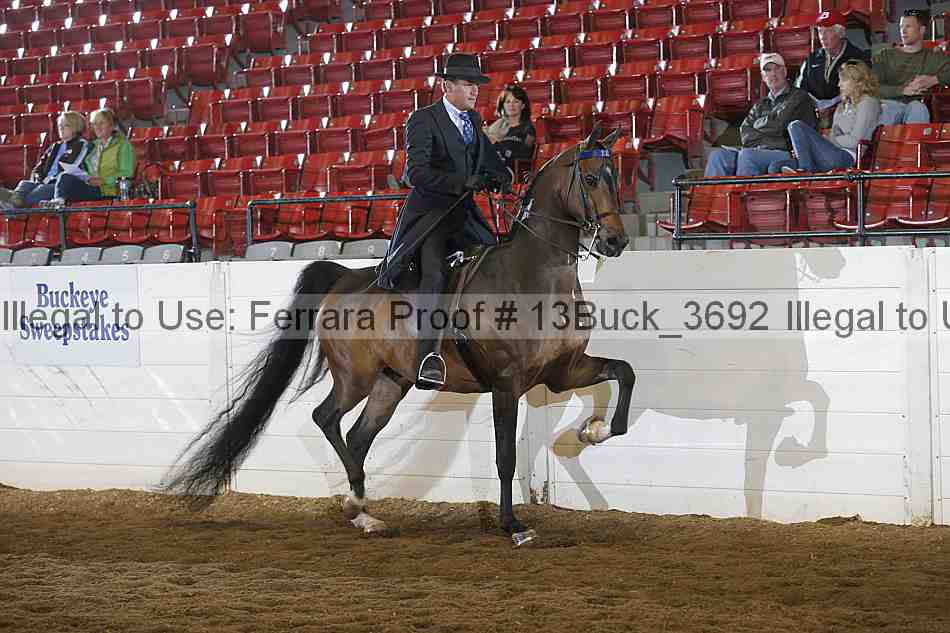 Proof 13buck_3692