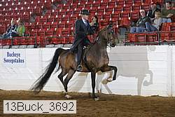 13buck_3692 proof