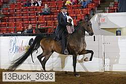 13buck_3693 proof