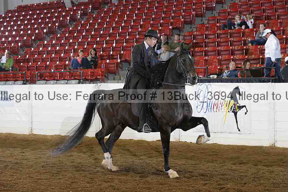 Proof 13buck_3694