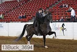 13buck_3694 proof