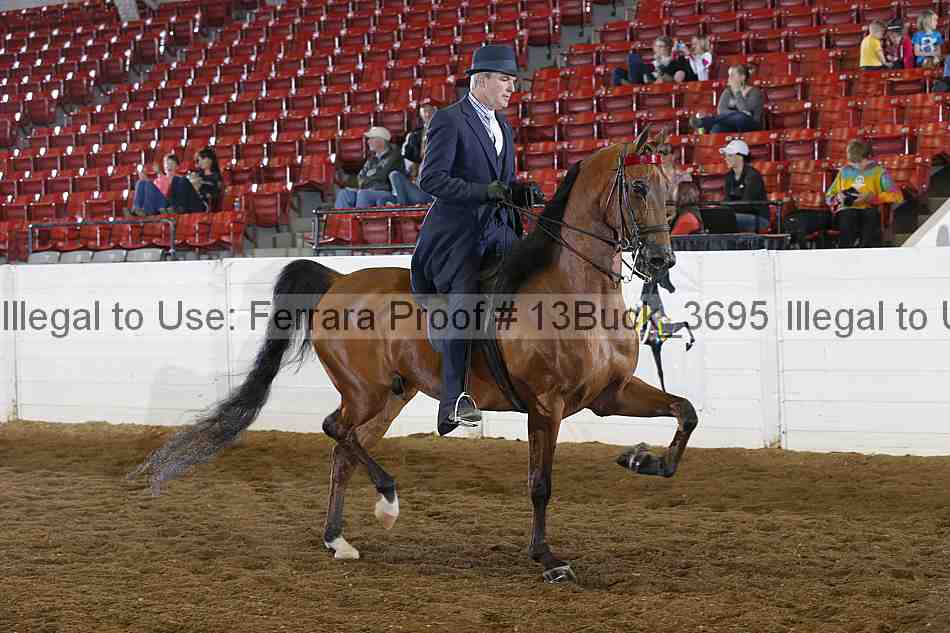 Proof 13buck_3695