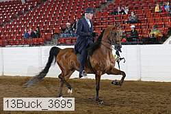 13buck_3695 proof