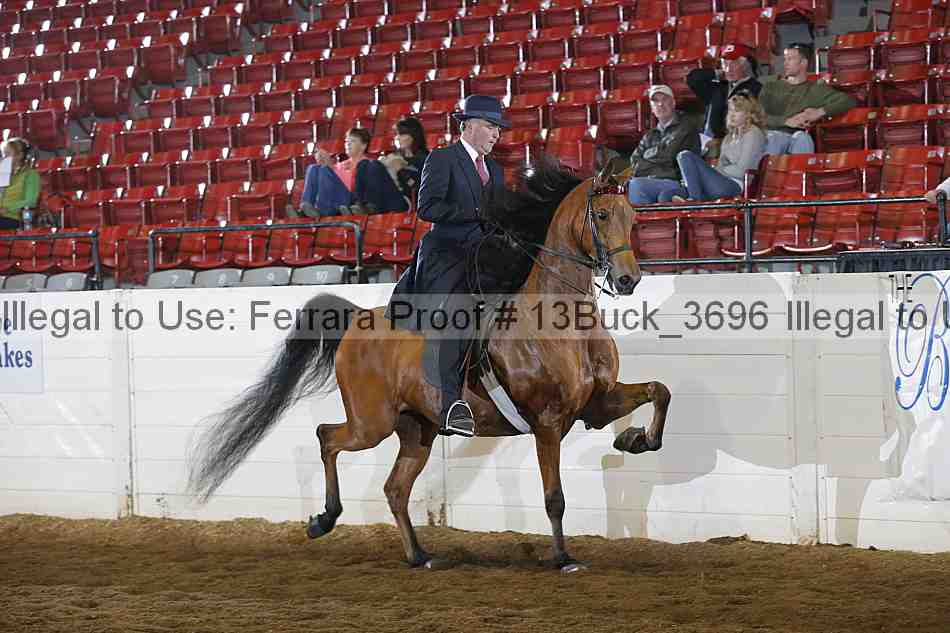 Proof 13buck_3696