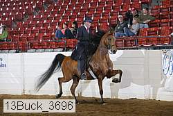 13buck_3696 proof