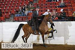 13buck_3697 proof