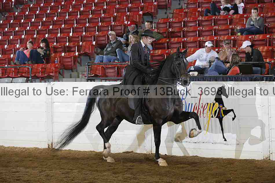 Proof 13buck_3698