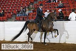 13buck_3699 proof