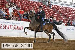 13buck_3700 proof
