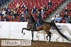 13buck_3701 proof
