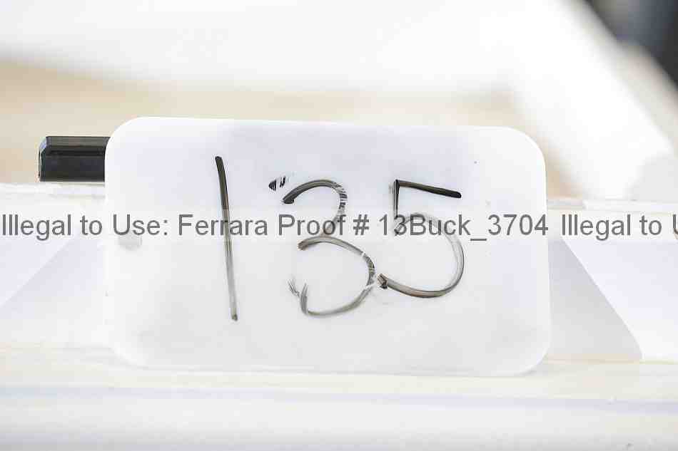 Proof 13buck_3704
