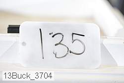 13buck_3704 proof