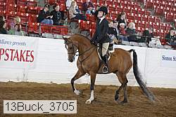13buck_3705 proof