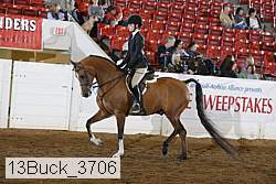 13buck_3706 proof