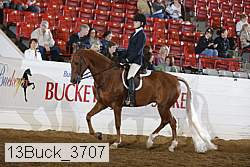 13buck_3707 proof