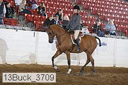 13buck_3709 proof