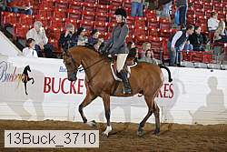13buck_3710 proof