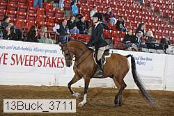 13buck_3711 proof