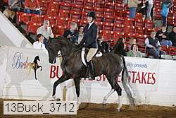 13buck_3712 proof