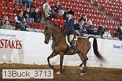 13buck_3713 proof