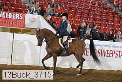 13buck_3715 proof